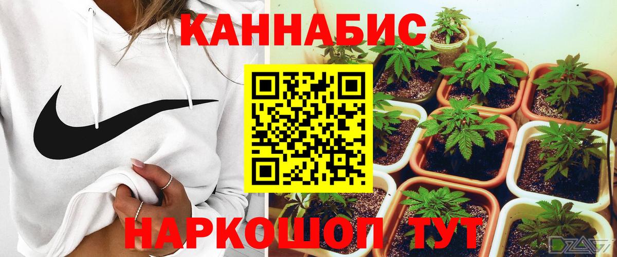 Конопля марихуана  Бошки марихуана VHQ  Каннабис White Widow  Вход с VPN  Надым  Бошки Шишки ГИДРОПОН 